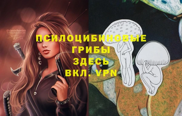 кокс Бронницы